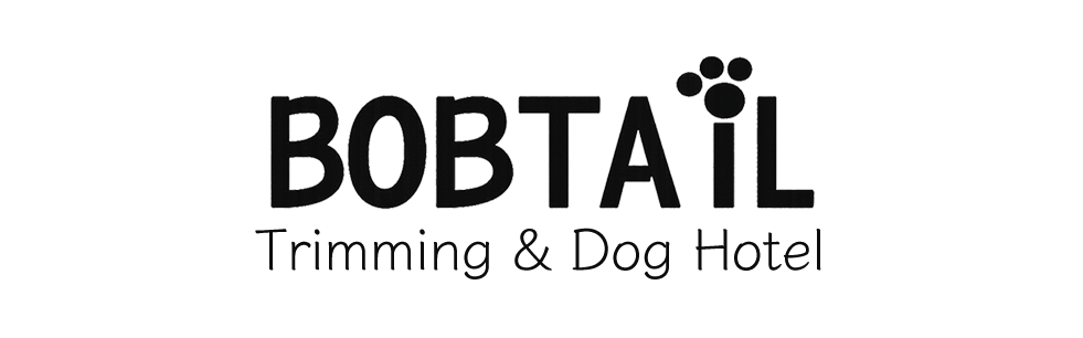 BOBTAIL